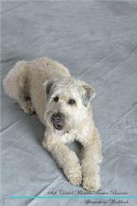 Soft Coated Wheaten Terrier Affirmations Workbook Soft Coated Wheaten Terrier Presents