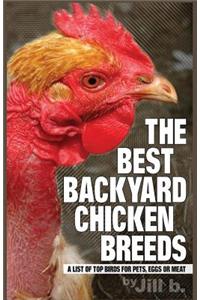 Best Backyard Chicken Breeds (B&W Edition)