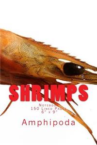 Shrimps