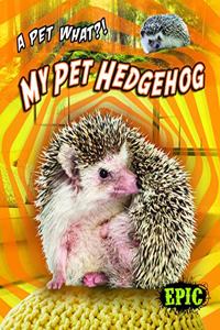 My Pet Hedgehog