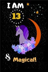 I am 13 & Magical Unicorn Journal