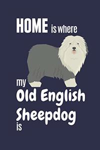Home is where my Old English Sheepdog is