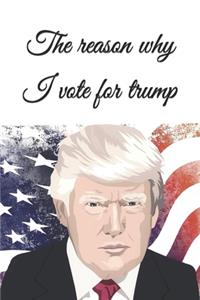 The reason why I vote for trump