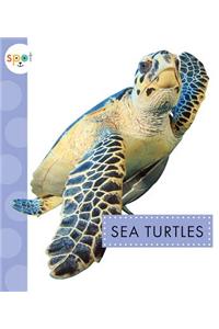 Sea Turtles