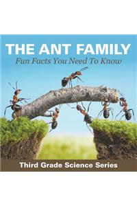 Ant Family - Fun Facts You Need To Know