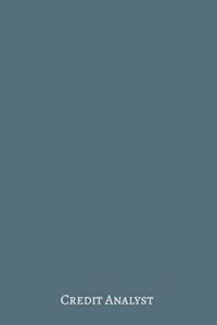 Credit Analyst
