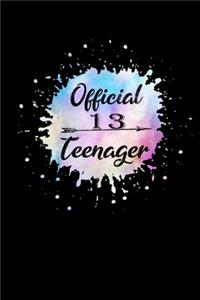 Official 13 Teenager