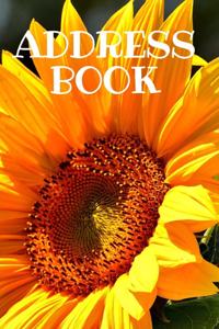 Address Book