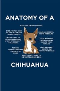 Anatomy Of A Chihuahua