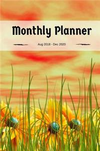 Monthly Planner 2018-2020: Monthly Planner August 2018 through December 2020, 6 x 9 Smart Book