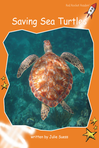 Saving Sea Turtles