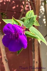 Purple Possibilities
