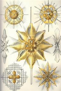 Haeckel Scientific Biological Art Notebook
