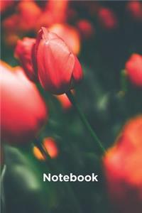 Red Tulip Flower Composition Notebook