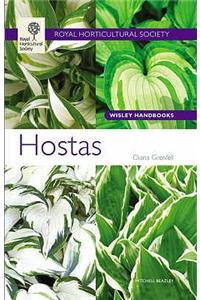 Hostas