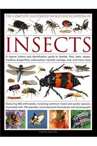 Complete Illustrated World Encyclopedia of Insects