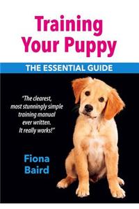 Training Your Puppy