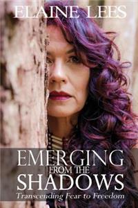 Emerging from the Shadows