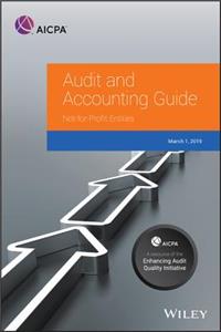 Auditing and Accounting Guide