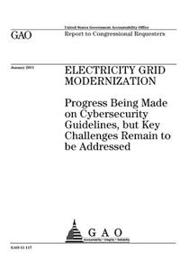 Electricity grid modernization