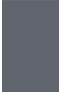 Slate Grey 101 - Narrow Lined Notebook with Margins - 5X8