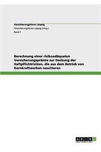 Berechnung einer risikoadäquaten Versicherungsprämie zur Deckung der Haftpflichtrisiken, die aus dem Betrieb von Kernkraftwerken resultieren