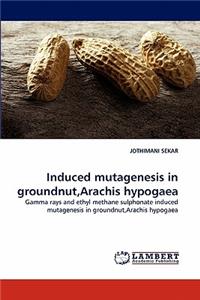 Induced Mutagenesis in Groundnut, Arachis Hypogaea