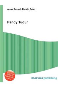 Pandy Tudur