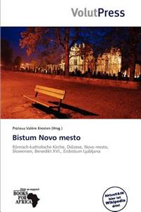 Bistum Novo Mesto
