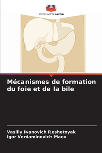 Le foie et les mécanismes de formation de la bile
