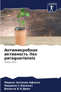 Антимикробная активность Ilex paraguariensis