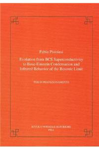 Evolution from BCS Super-Conductivity to Bose-Einstein Condensation and Infrared Behavior of the Bosonic Limit