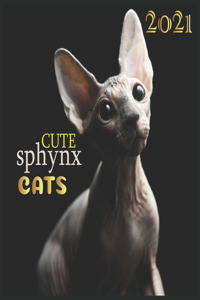 cute sphynx Cats
