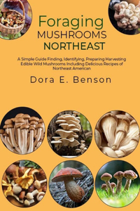 Foraging Mushrooms Northeast