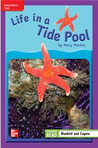 Reading Wonders Leveled Reader Life in a Tide Pool: Ell Unit 4 Week 3 Grade 3