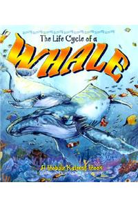 The Life Cycle of the Whale