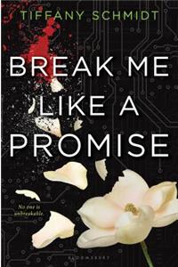 Break Me Like a Promise