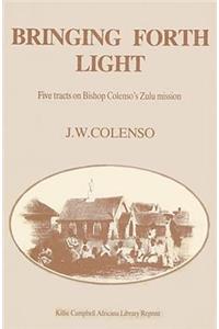 Bringing Forth Light Book 4