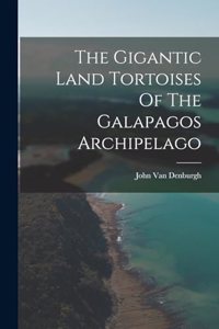 Gigantic Land Tortoises Of The Galapagos Archipelago