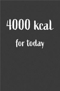 4000 kcal For Today