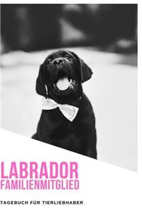 Labrador Familienmitglied