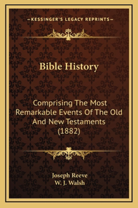 Bible History: Comprising The Most Remarkable Events Of The Old And New Testaments (1882)