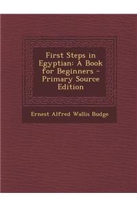 First Steps in Egyptian