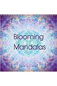 Blooming Mandalas 2018