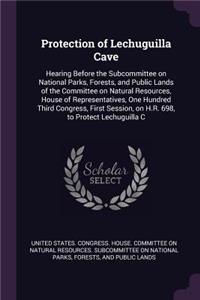 Protection of Lechuguilla Cave