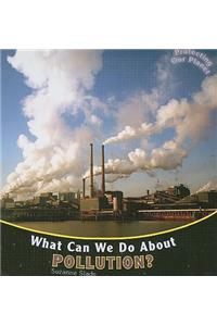 What Can We Do about Pollution?