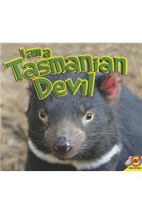 I Am a Tasmanian Devil