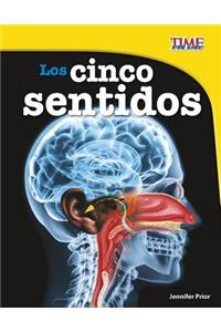Los Cinco Sentidos