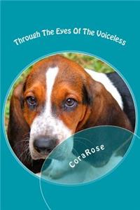 Through The Eyes Of The Voiceless