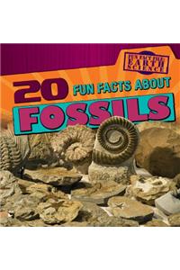 20 Fun Facts about Fossils